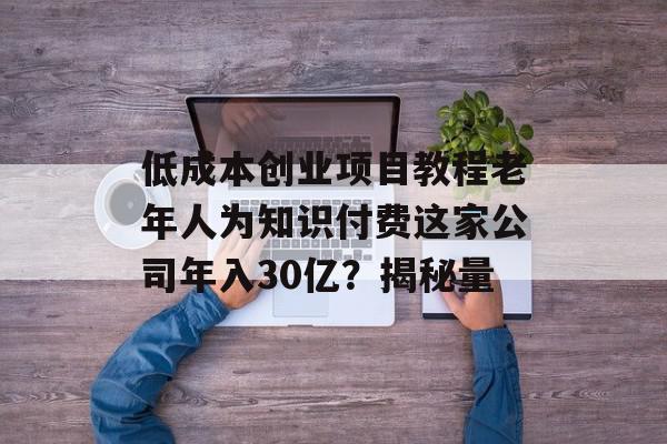 低成本创业项目教程老年人为知识付费这家公司年入30亿？揭秘量