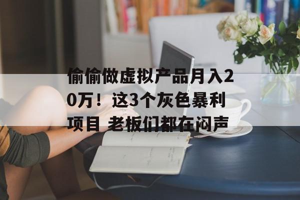 偷偷做虚拟产品月入20万！这3个灰色暴利项目 老板们都在闷声