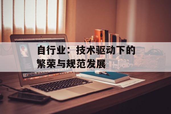 自行业：技术驱动下的繁荣与规范发展