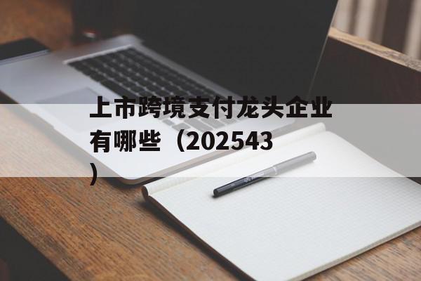 上市跨境支付龙头企业有哪些（202543）