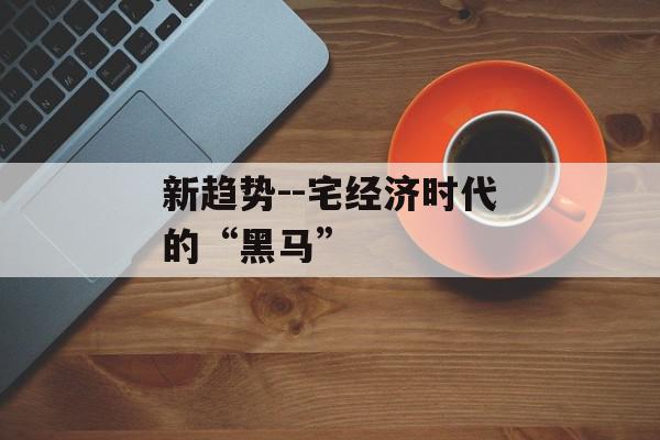 新趋势--宅经济时代的“黑马”
