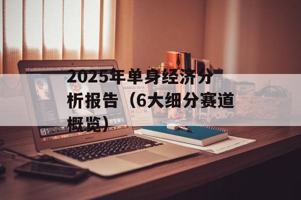 2025年单身经济分析报告（6大细分赛道概览）