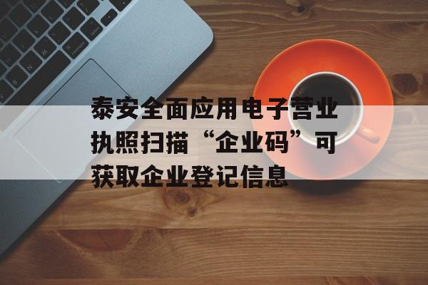 泰安全面应用电子营业执照扫描“企业码”可获取企业登记信息