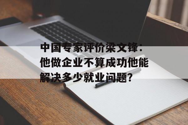 中国专家评价梁文锋：他做企业不算成功他能解决多少就业问题？