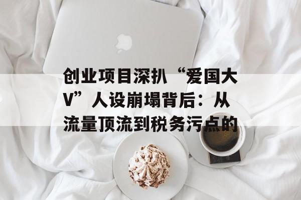 创业项目深扒“爱国大V”人设崩塌背后：从流量顶流到税务污点的