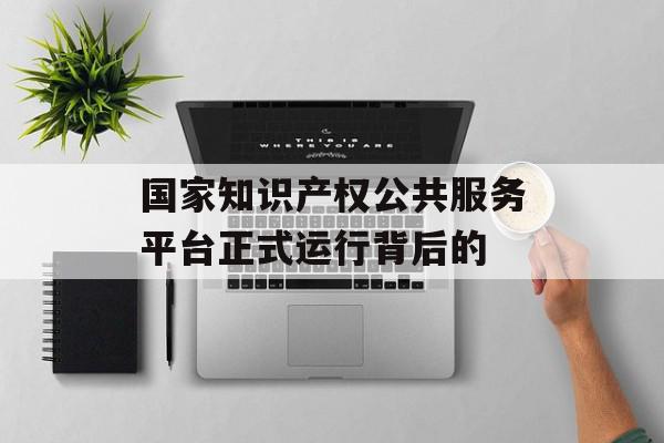 国家知识产权公共服务平台正式运行背后的