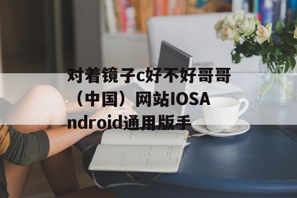 对着镜子c好不好哥哥（中国）网站IOSAndroid通用版手