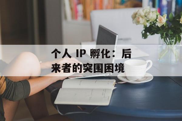 个人 IP 孵化：后来者的突围困境