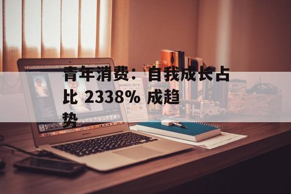 青年消费：自我成长占比 2338% 成趋势