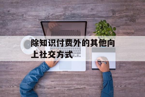 除知识付费外的其他向上社交方式