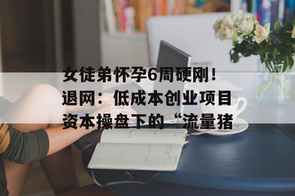 女徒弟怀孕6周硬刚！退网：低成本创业项目资本操盘下的“流量猪