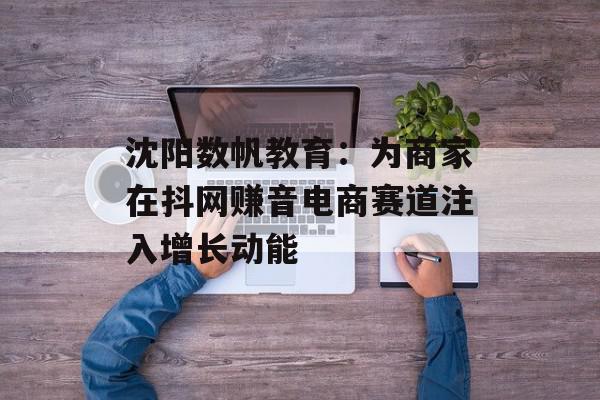 沈阳数帆教育：为商家在抖网赚音电商赛道注入增长动能