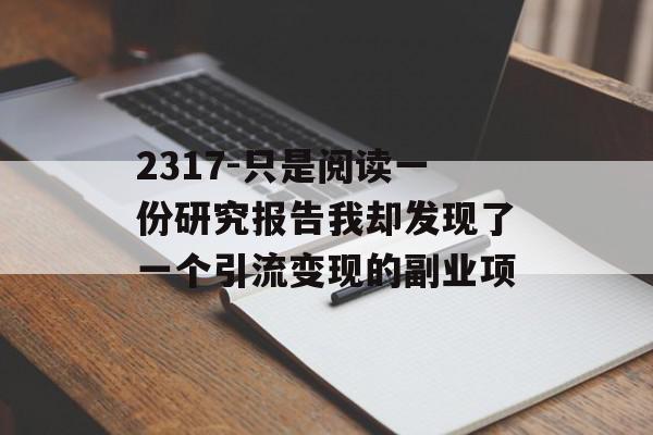 2317-只是阅读一份研究报告我却发现了一个引流变现的副业项