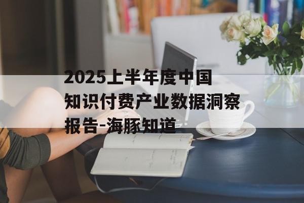 2025上半年度中国知识付费产业数据洞察报告-海豚知道