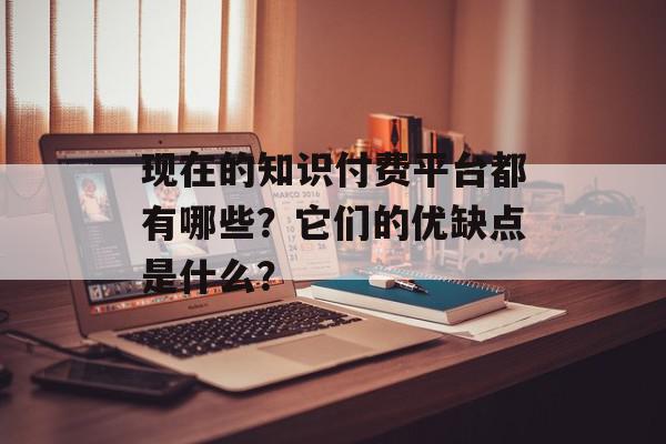 现在的知识付费平台都有哪些？它们的优缺点是什么？