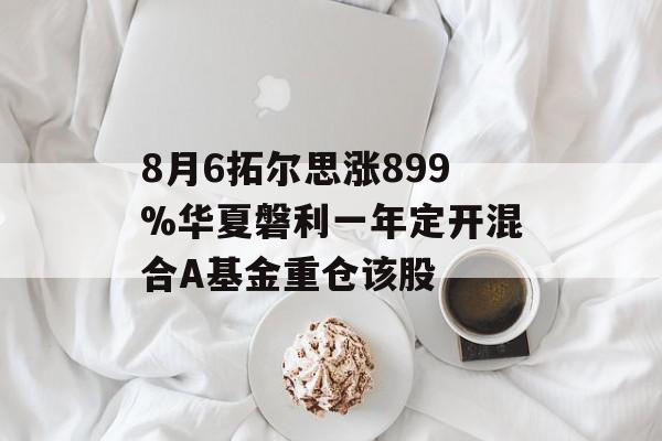 8月6拓尔思涨899%华夏磐利一年定开混合A基金重仓该股