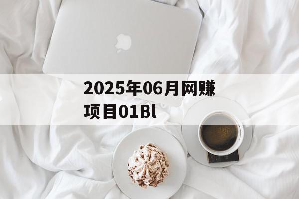 2025年06月网赚项目01Bl