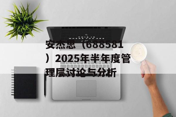 安杰思（688581）2025年半年度管理层讨论与分析