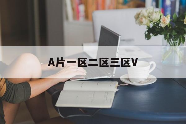 A片一区二区三区V
