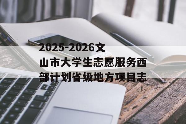 2025-2026文山市大学生志愿服务西部计划省级地方项目志