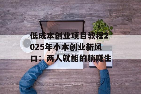 低成本创业项目教程2025年小本创业新风口：两人就能的躺赚生