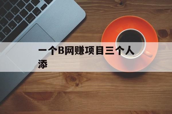 一个B网赚项目三个人添