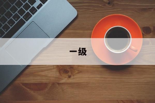 一级