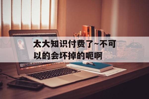 太大知识付费了～不可以的会坏掉的呃啊
