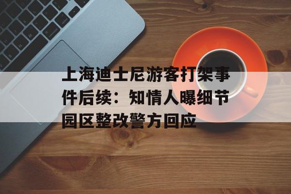 上海迪士尼游客打架事件后续：知情人曝细节园区整改警方回应