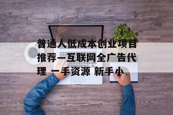 普通人低成本创业项目推荐—互联网全广告代理 一手资源 新手小