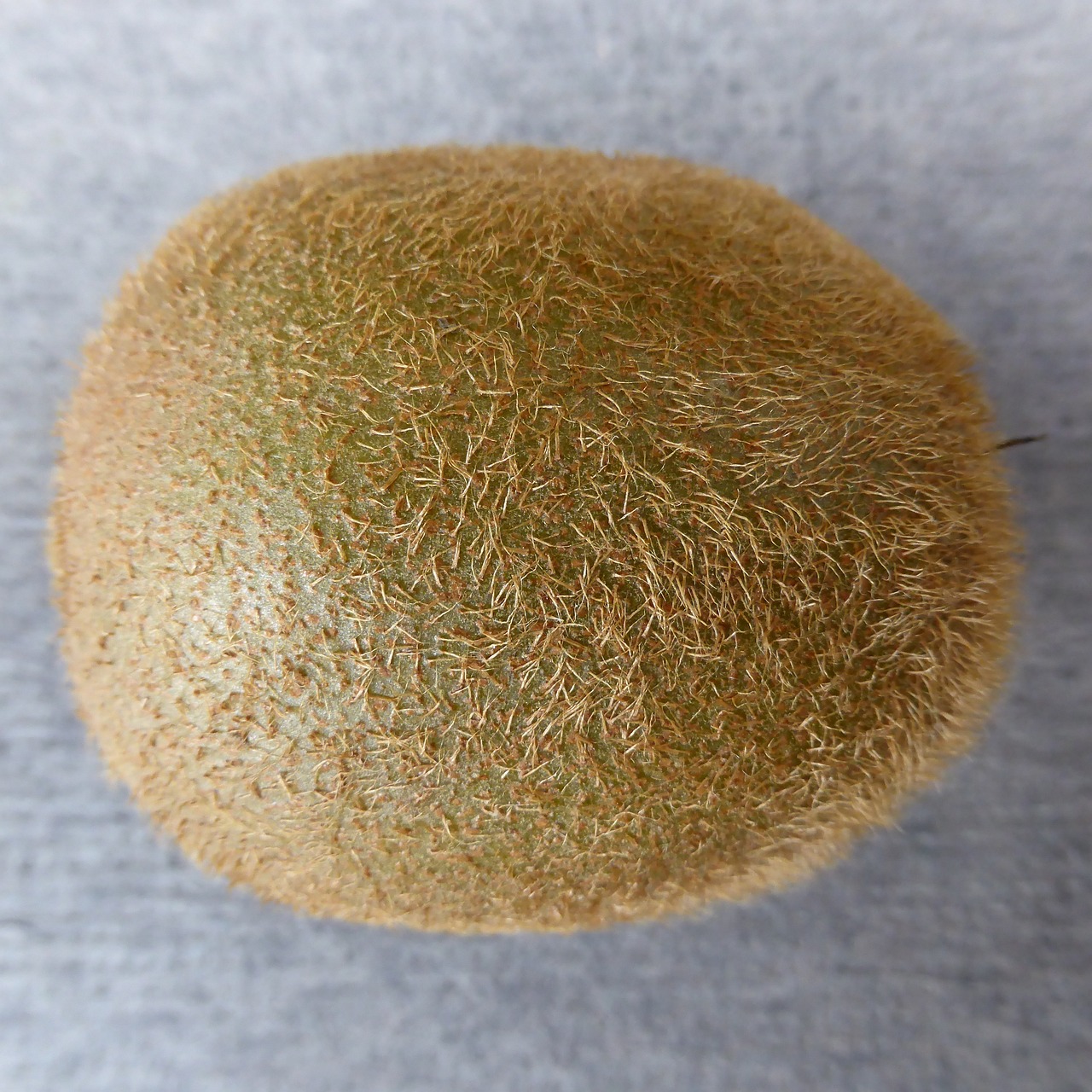 Inserted Image