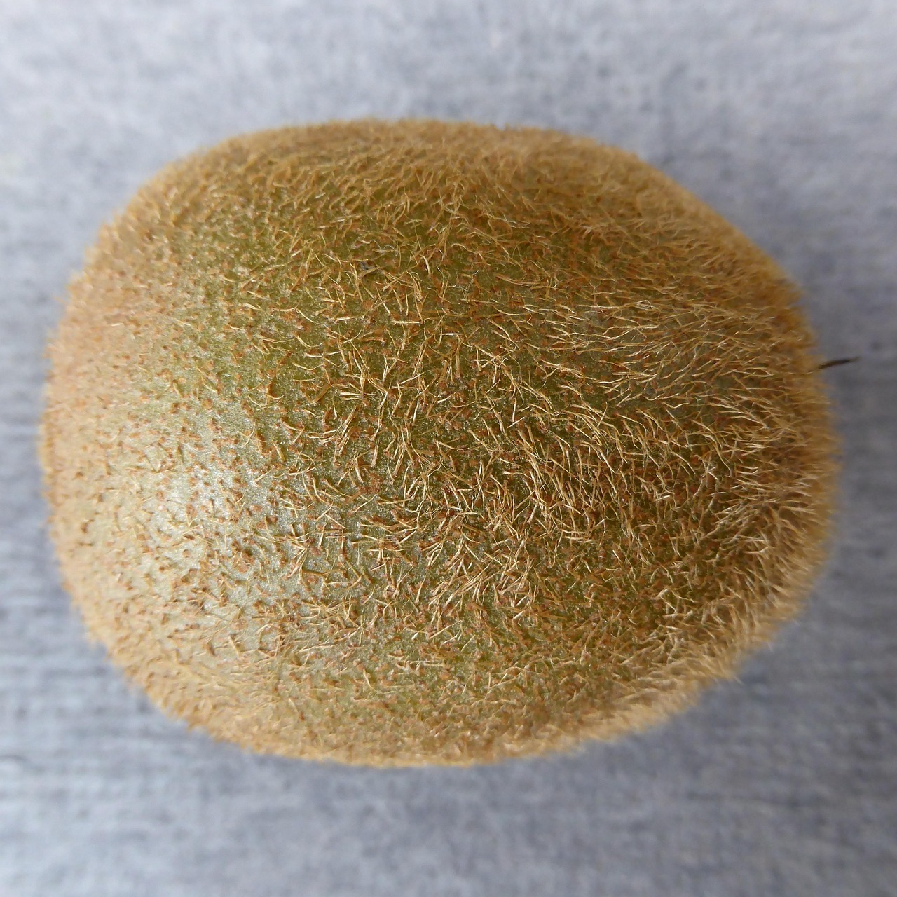 Inserted Image