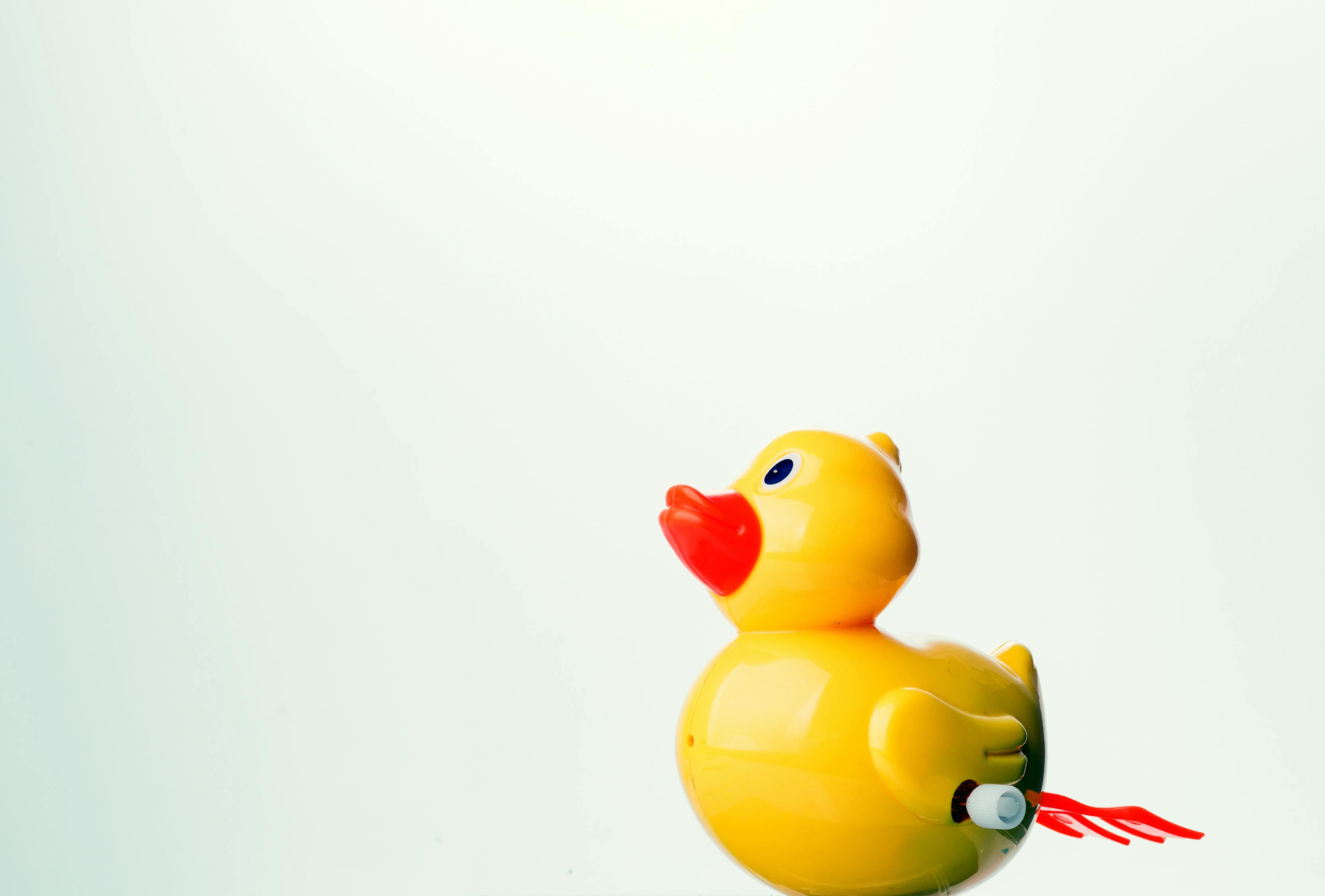 Inserted Image
